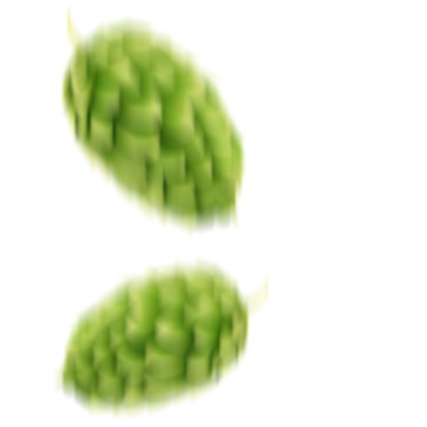 Lúpulo Image 2