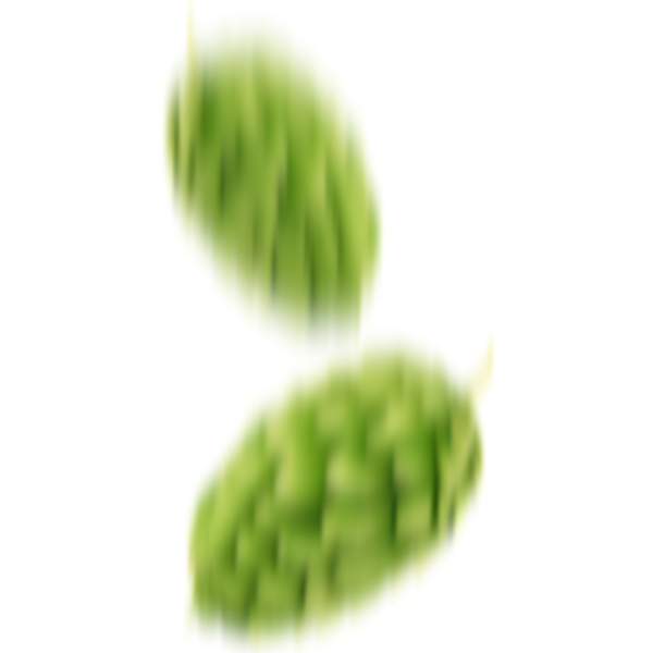 Lúpulo Image