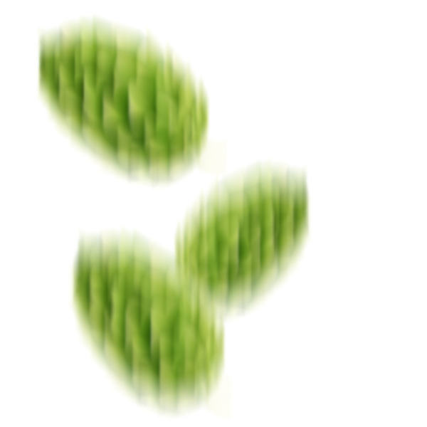 Lúpulo Image 2