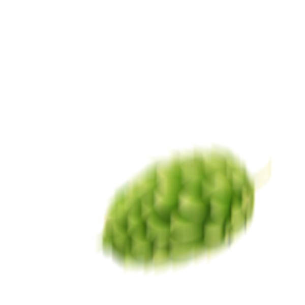 Lúpulo imagem 1