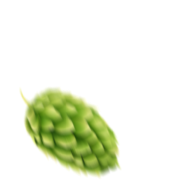 Lúpulo imagem 2